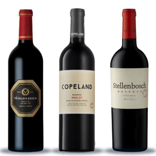 Bottle_Template 500x500 (1) (77)